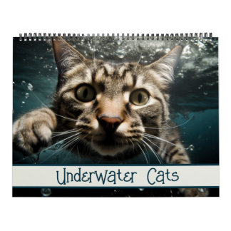 Calendrier Cats sous-marins Photographie amusante