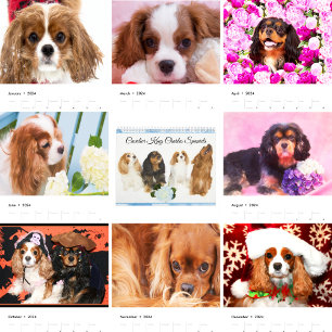 Calendrier Cavalier King Charles Spaniels