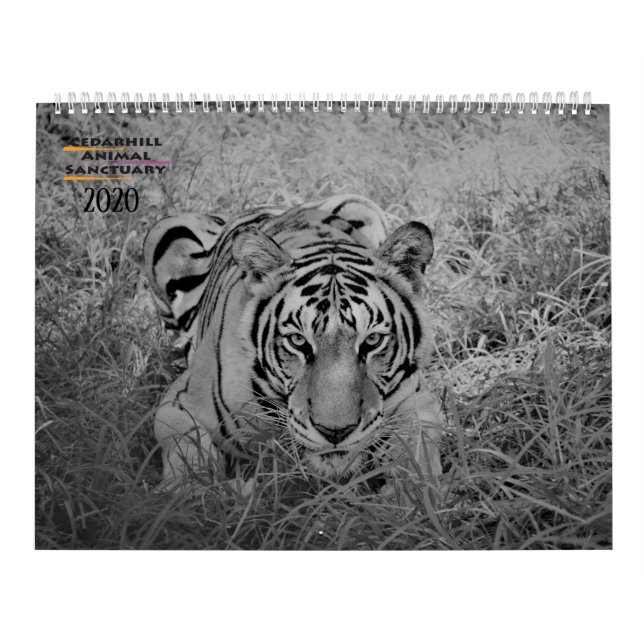 Calendrier Cedarhill 2020 (Protection)