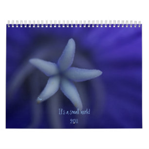 Calendrier C'est un petit monde