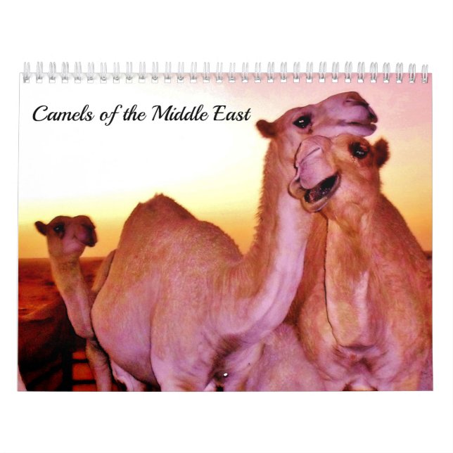 Calendrier Chameaux du Moyen-Orient (Protection)