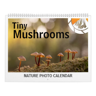 Calendrier Champignons Photos de la nature 2025