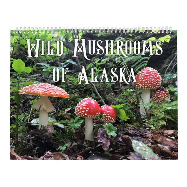 Calendrier Champignons sauvages de l'Alaska - Grand Calendrie (Protection)