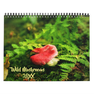 Calendrier Champignons sauvages et photographie de la nature