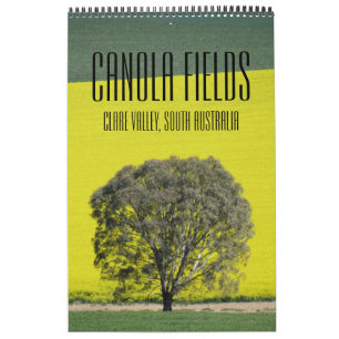 Calendrier champs de canola