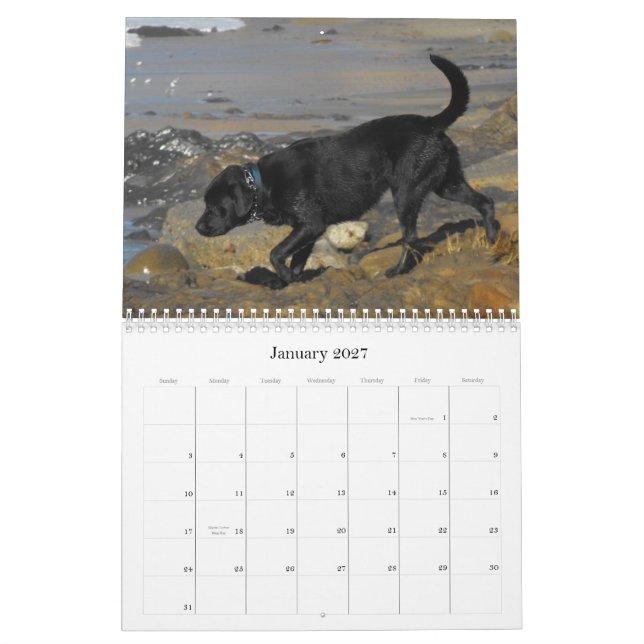 Calendrier chanceux 2012 de chien d'arrêt de (Jan 2027)
