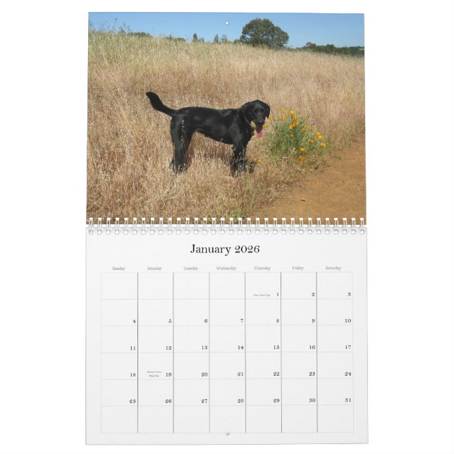Calendrier chanceux 2013 de labrador retriever de (Jan 2026)