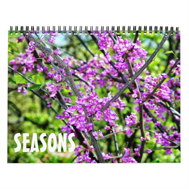 Calendrier Changer la photographie des saisons (Protection)