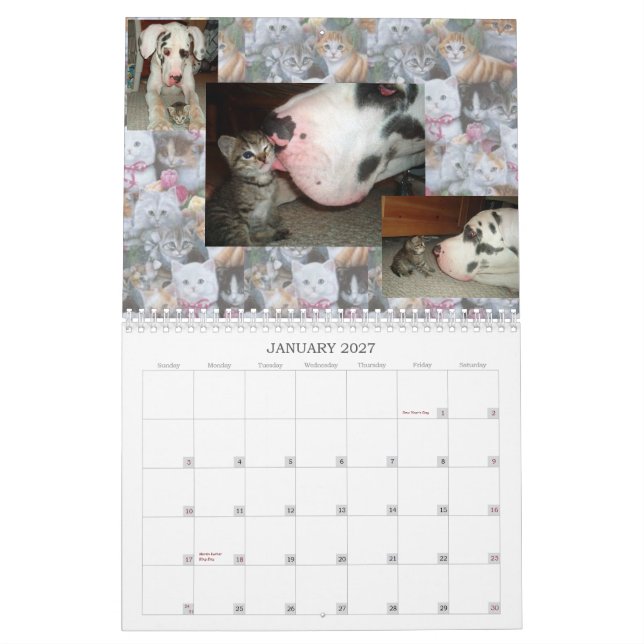 CALENDRIER CHAT AMIS D'INTERNET (Jan 2027)