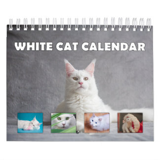 Calendrier Chat blanc