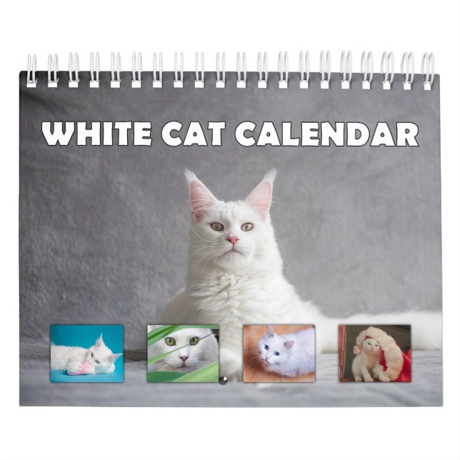 Calendrier Chat blanc (Protection)