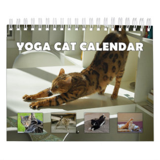 Calendrier Chat de Yoga