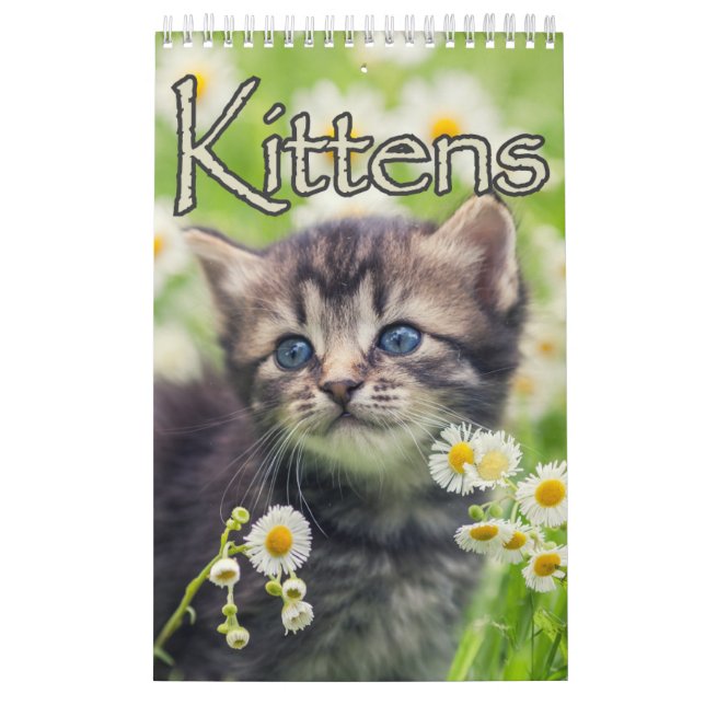 Calendrier Chatons adorables & Chatons Coeur Chants Grande Mu (Protection)