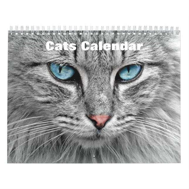 Calendrier Chats 2025 (Protection)