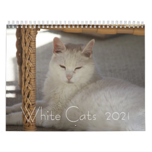 Calendrier Chats blancs 2021