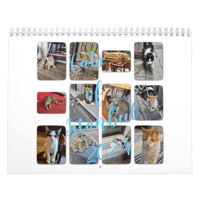 Calendrier Chats d'Istanbul (Protection)