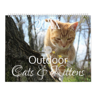 Calendrier Chats et chatons en plein air HAMbWG