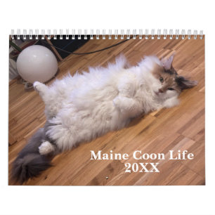 Calendrier Chats Maine Coon Vie de Main Coon 2027