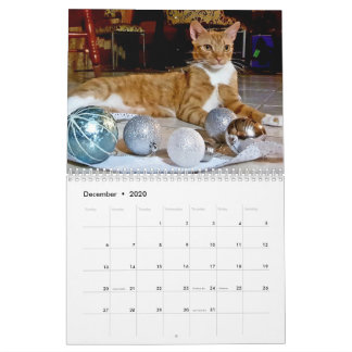 Calendrier Cheeto Dacutecat 2020