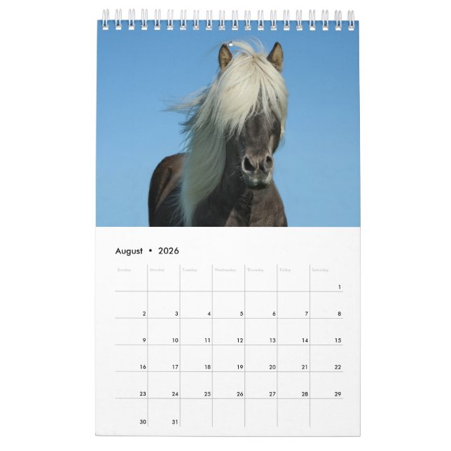 Calendrier Cheval 2017 (Aug 2026)