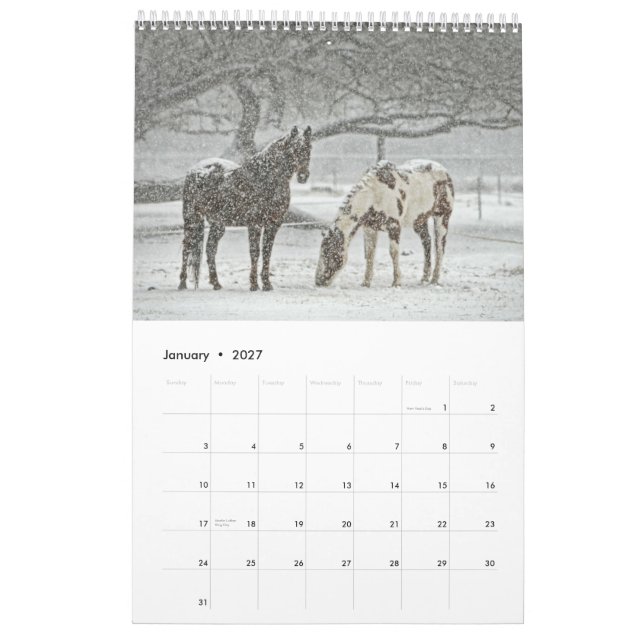 Calendrier Cheval 2017 (Jan 2027)