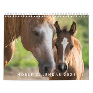 Calendrier Cheval 2024 Avec Vos Photos