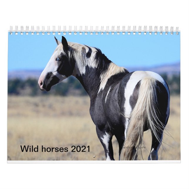 Calendrier Cheval sauvage 2018 calandre par Photographie De C (Protection)