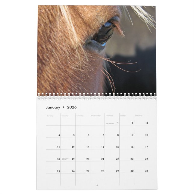 Calendrier Chevaux (Jan 2026)