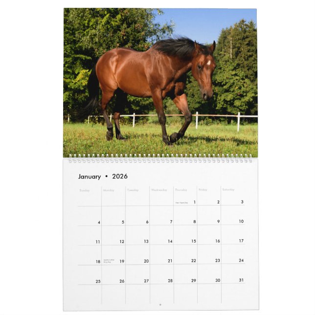 Calendrier Chevaux (Jan 2026)