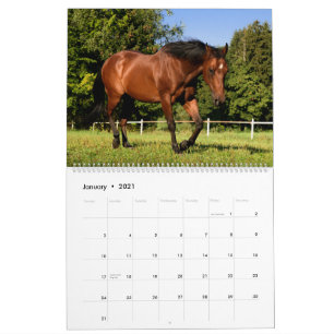 Calendrier Chevaux
