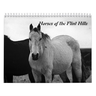 Calendrier Chevaux des collines de silex