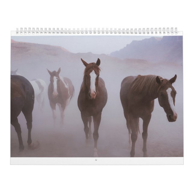 Calendrier Chevaux Moab (Protection)