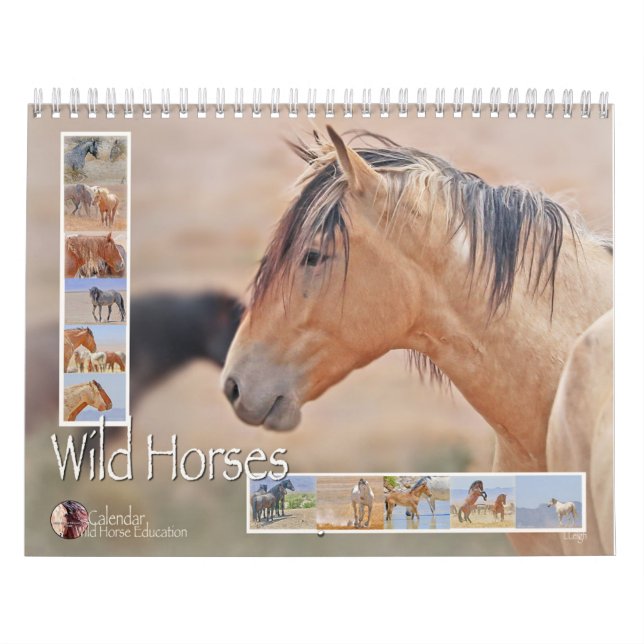 Calendrier Chevaux sauvages (calendrier) (Protection)
