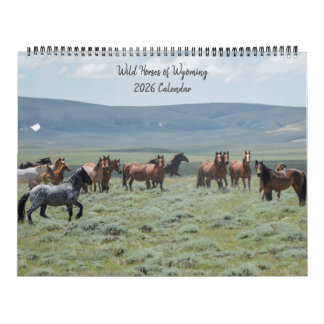 Calendrier Chevaux sauvages du Wyoming