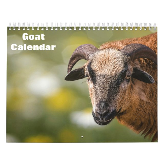 Calendrier Chèvre 2025 (Protection)
