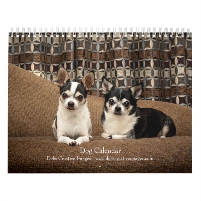 Calendrier Chien 2026 (Protection)