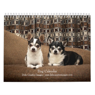 Calendrier Chien 2026