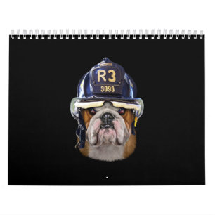 Calendrier Chien de taureau anglais grognon portant un casque