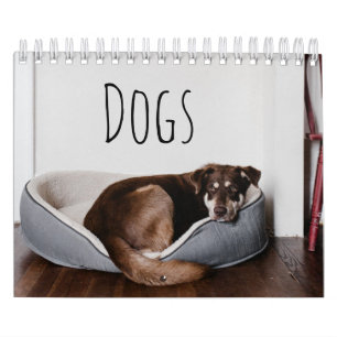 Calendrier Chiens