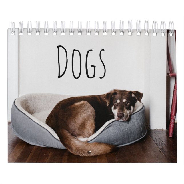 Calendrier Chiens (Protection)