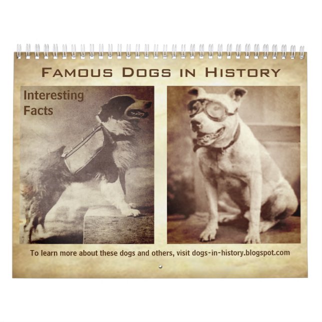 Calendrier Chiens célèbres dans l'histoire avec des faits Cal (Protection)