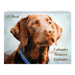Calendrier Chiens de 12 mois de Labrador Retriever Dogs d'aqu