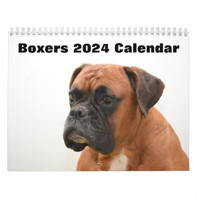 Calendrier Chiens de boîte 2024 (Protection)