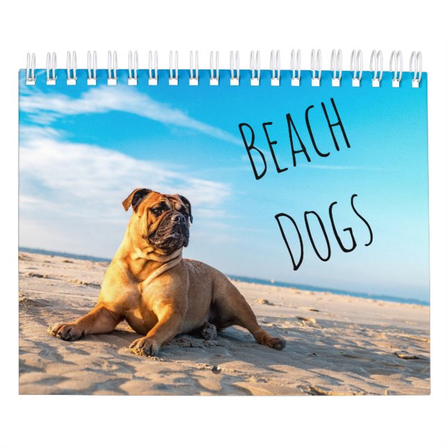 Calendrier Chiens de plage (Protection)