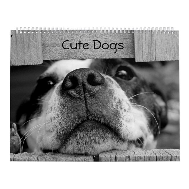 Calendrier Chiens mignons (Protection)