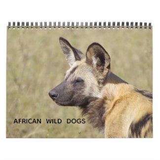 CALENDRIER CHIENS SAUVAGES AFRICAINS