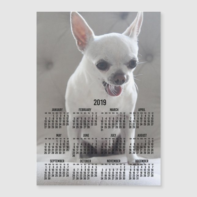 Calendrier Chihuahua 2019 Carte photo magnétique 5 (Devant)