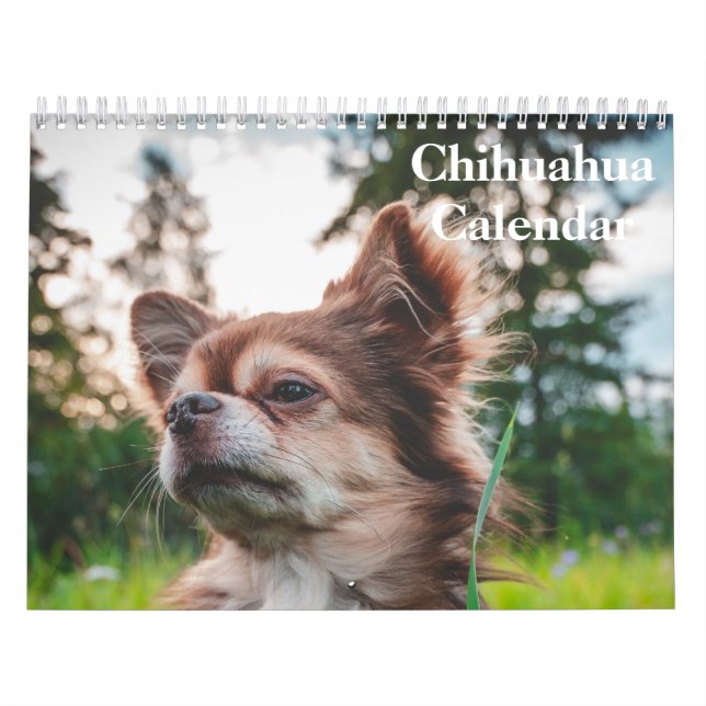 Calendrier Chihuahua 2025 (Protection)