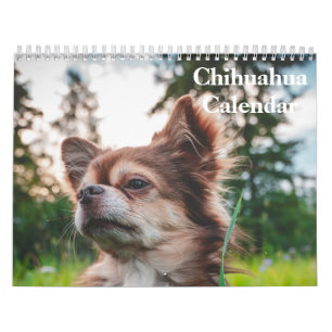 Calendrier Chihuahua 2025