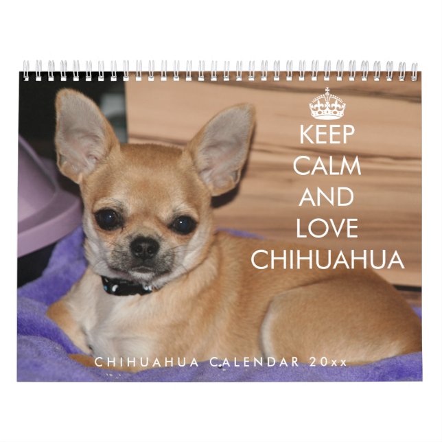 Calendrier Chihuahua 2026 Gardez Le Calme Et L'Amo (Protection)